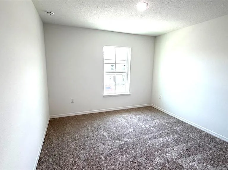 706 Blissful Gardens Way — Photo 13