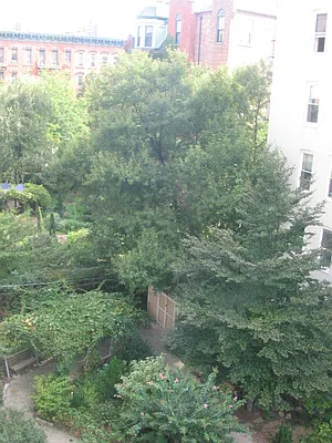 Rented by DSA Realty | media 81