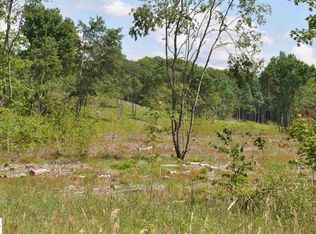 Vl 40 Acres Benton Rd, Mesick, MI 49668
