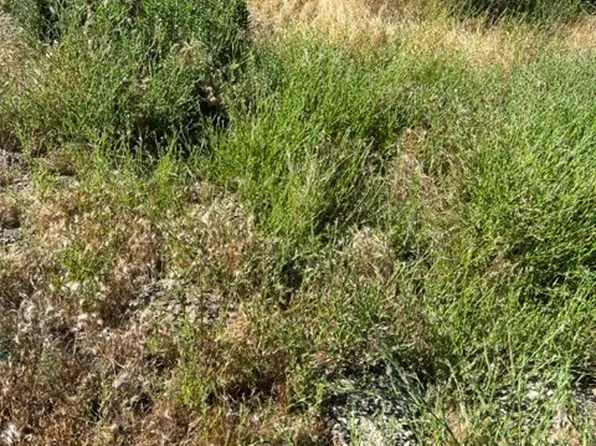 0 Highway 76 #1, Pauma Valley, CA 92061