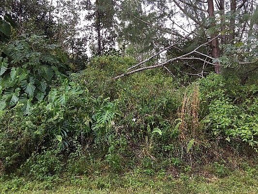 1st image of 3rd Ave Lot 1375