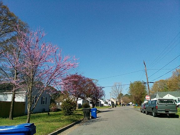 4th image of 18 Woodland St