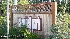 campbell 049