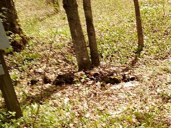 5th image of Havenwood Dr