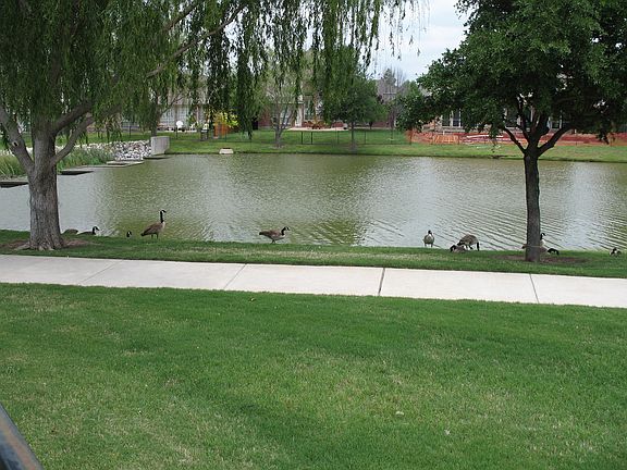 East View From Patio