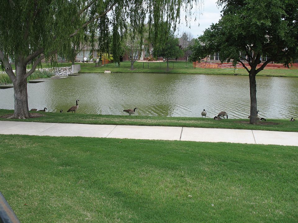 East View From Patio