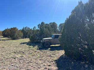 1364 N Last Chance Rd, Seligman, AZ 86337