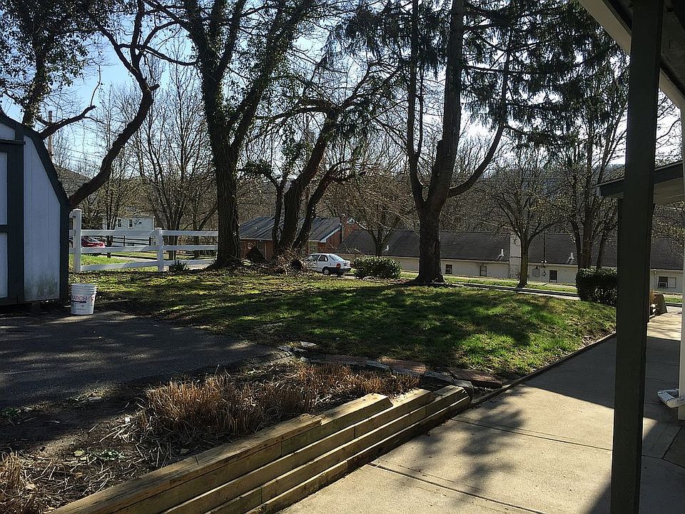 Several shade trees