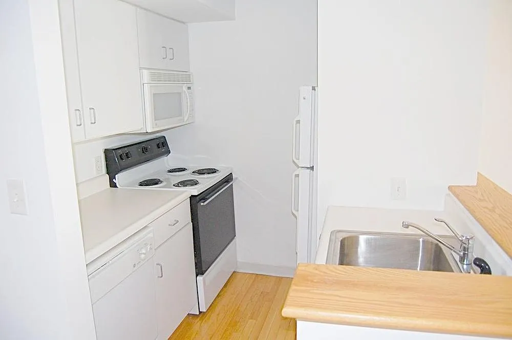 1 bed, 430 sqft, $1,675 — Photo 4