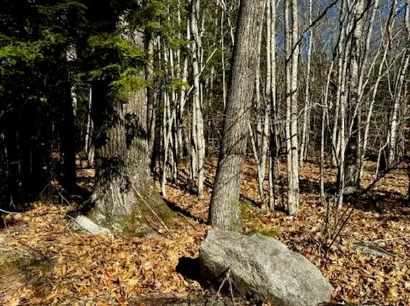 Lot # 15 Sweden Road, Bridgton, ME 04009