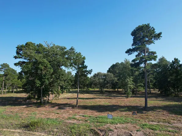 3145 Shadow Pine Dr, Larue, TX 75770