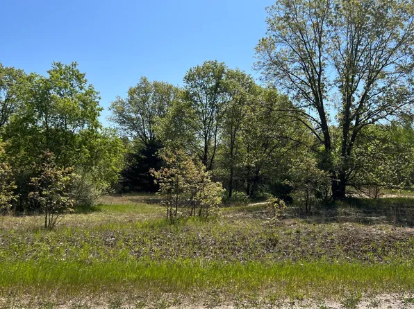 PARCEL Bosschem Rd #D, Wellston, MI 49689
