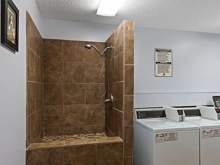 Pet Wash Station