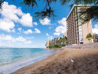 4327 Lower Honoapiilani Rd #805, Lahaina, HI, 96761