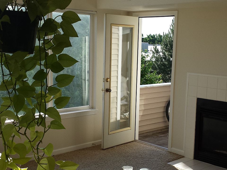 Living area, leading to back porch