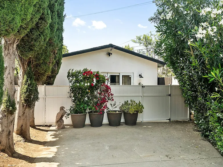 Back yard