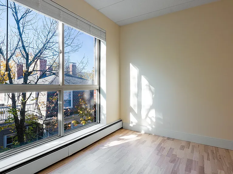16 Trowbridge Street Cambridge MA 02138 — Photo 6