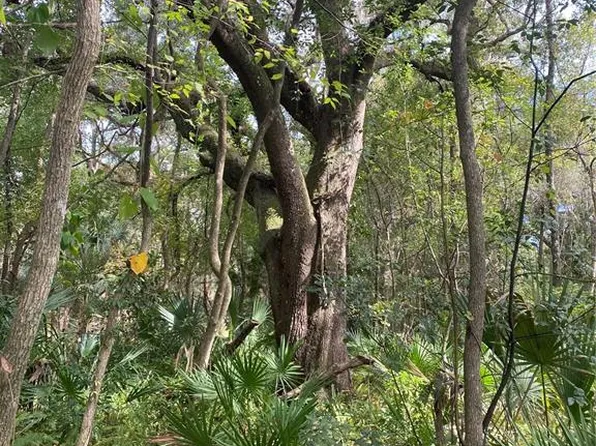 SW Three Road St #2, Micanopy, FL 32667