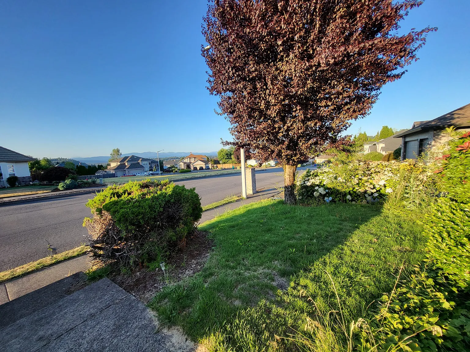 4 bed, 2.5 bath, 2778 sqft, $3,650 — Photo 3