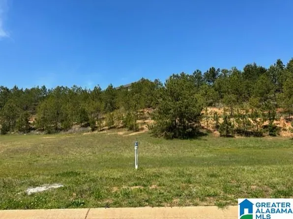 309 Charter Ln NE #19, Pell City, AL 35128