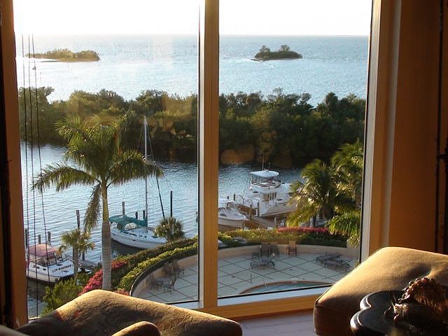 VIEW FROM 606