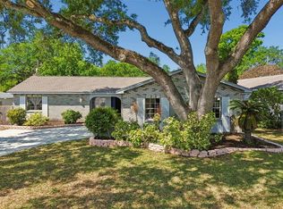 2210 Ladywood Ct, Brandon, FL 33511