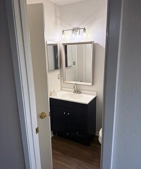 3013 Bob O Link Ln — Photo 10