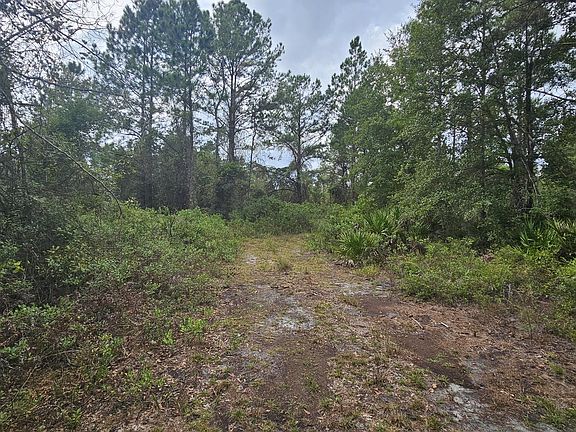 2nd image of 0 Timberland Rd