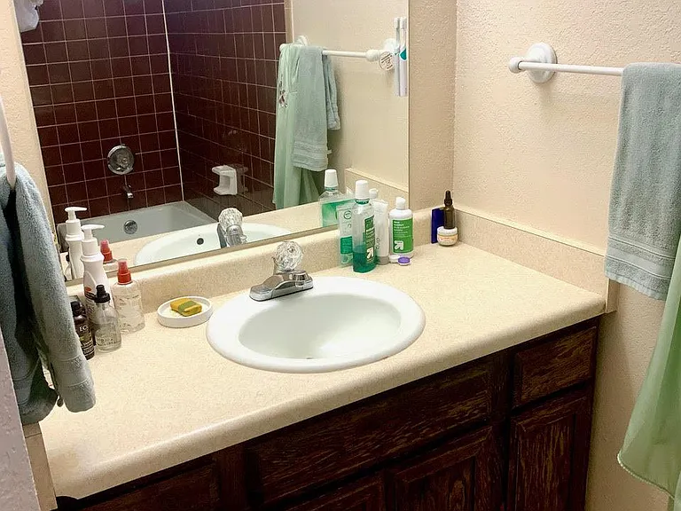 Vanity/Bath/Shower