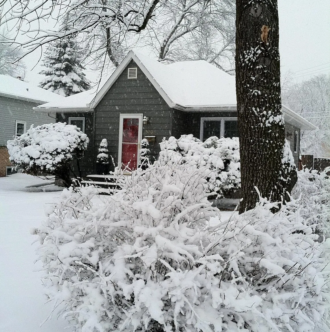 2 bed, 712 sqft, $1,400 — Photo 1