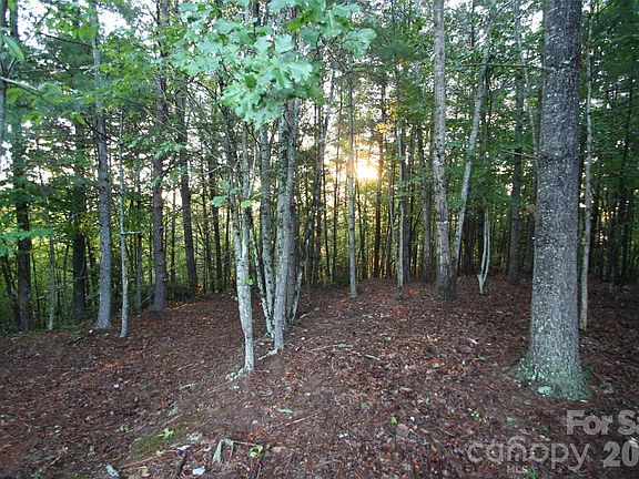 4th image of Poplar Bluff Dr #36
