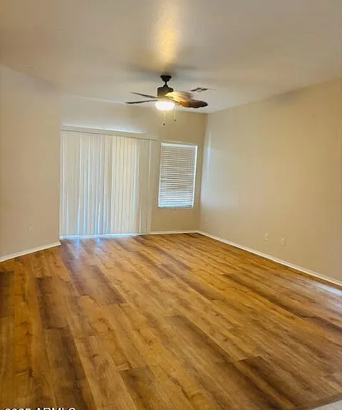 29081 N Cactus Cir — Photo 11