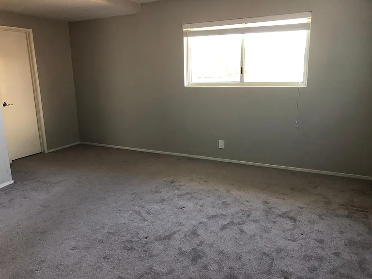 1342 Rainbow Dr — Photo 22