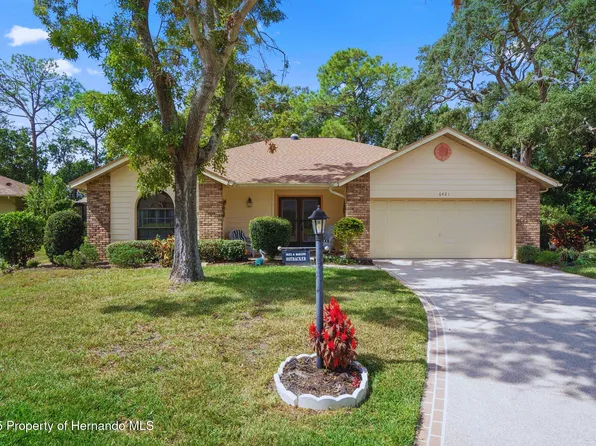 6421 Pine Meadows Dr, Spring Hill, FL 34606