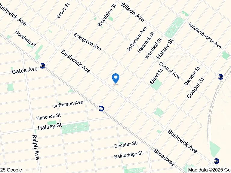 1223 Bushwick Ave #3B — Photo 3
