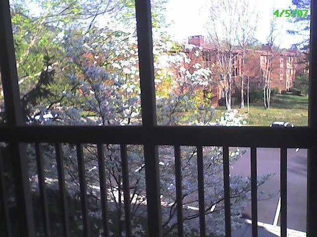 View From Porch