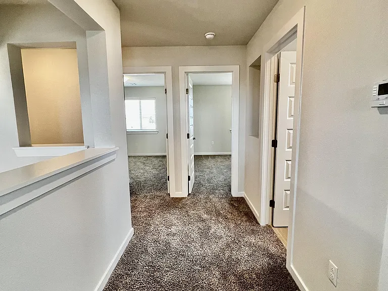 12601 Cody Kyle Ct — Photo 54