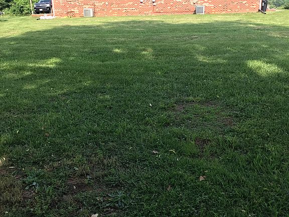 Huge flat back yard