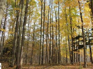 11773 S 15th Rd, Cadillac, MI 49601