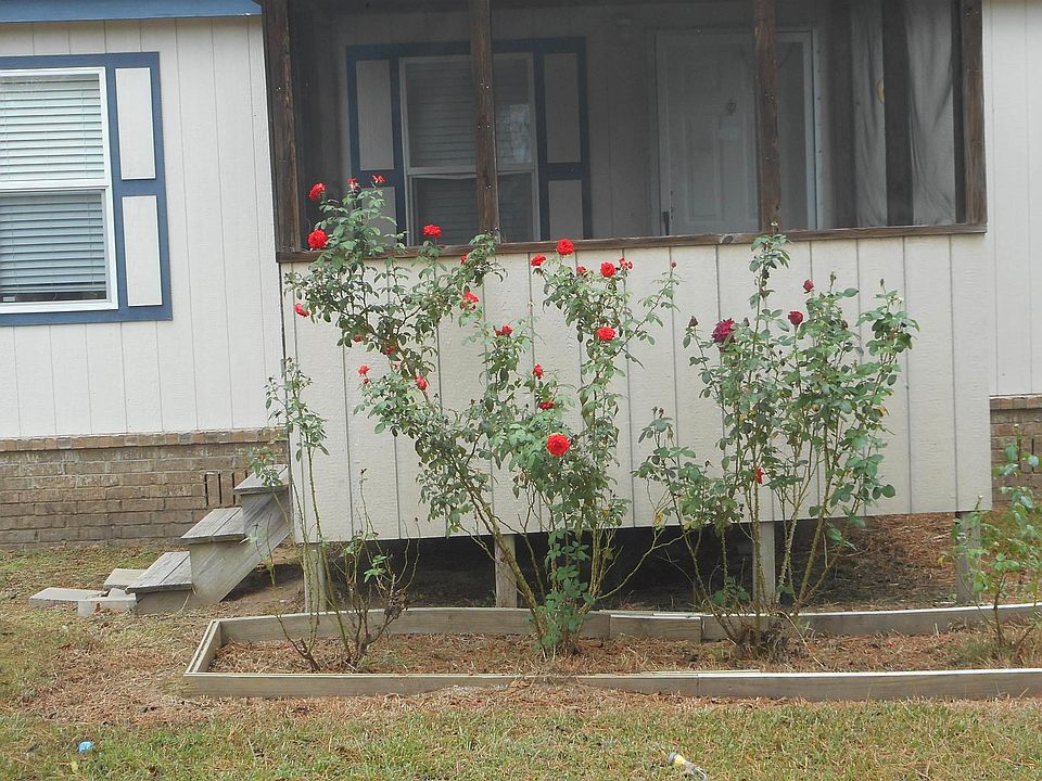 1st image of 175 County Road 3193