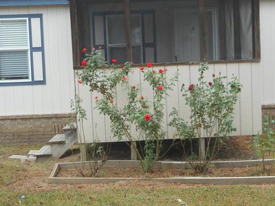 175 County Road 3193, Winnsboro, TX, 75494