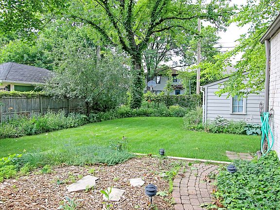 Back yard