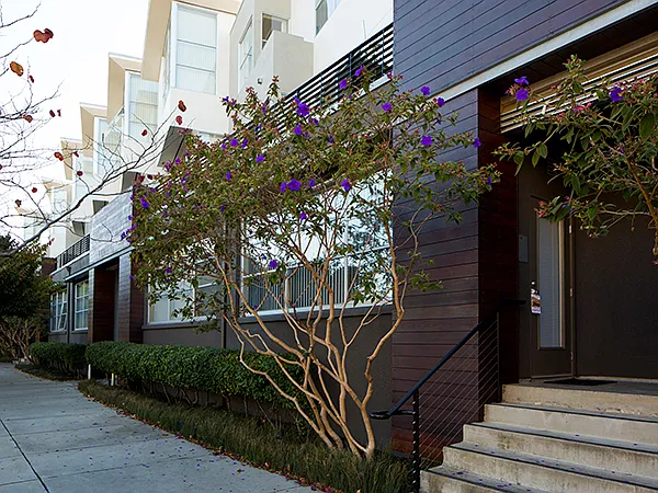 5540 Doyle St — Photo 12