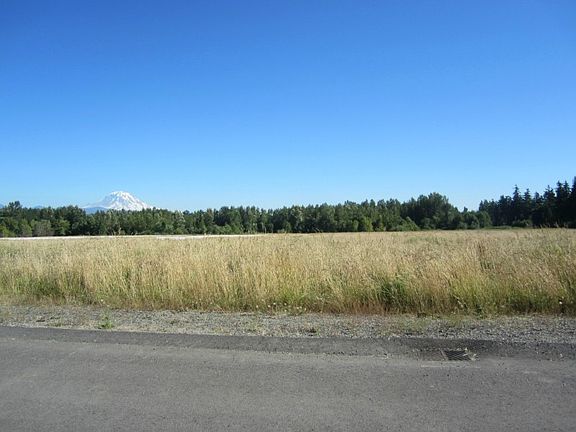 Lot is 7 perfectly flat with a view of Mt Rainier.