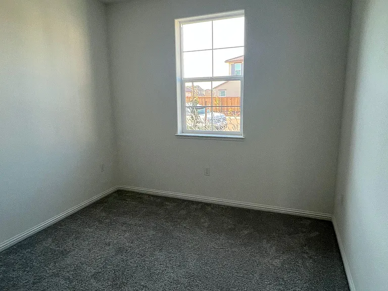3137 Barnowl Way — Photo 31