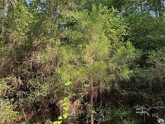 2nd image of Timberwood Ln Lot 9