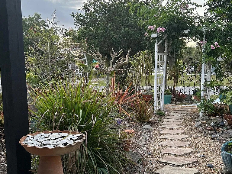 View from my front door. Sand dollar bird bath.