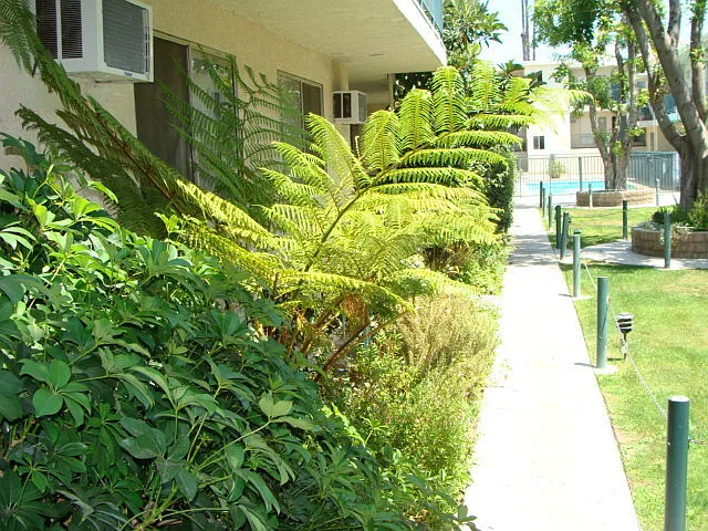 20317 Saticoy St — Photo 37