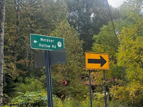 Metzner Hollow Rd, Helvetia, WV 26224