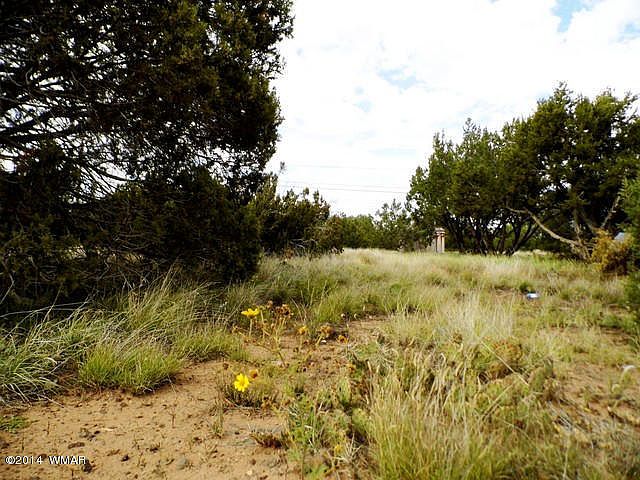 1st image of 8436 Ortega Dr